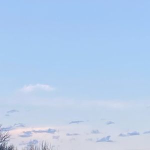 Meet your Posher, Lillian